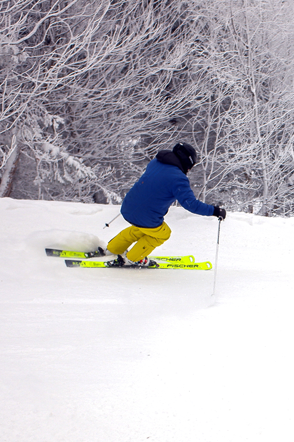 alpine-ski-thumb